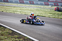 rotax006.jpg